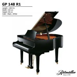 Ritmuller GP-148 R1