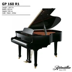 Ritmuller GP-160 R1