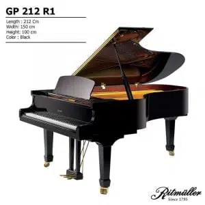 Ritmuller GP-213 R1