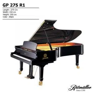 Ritmuller GP-275 R1